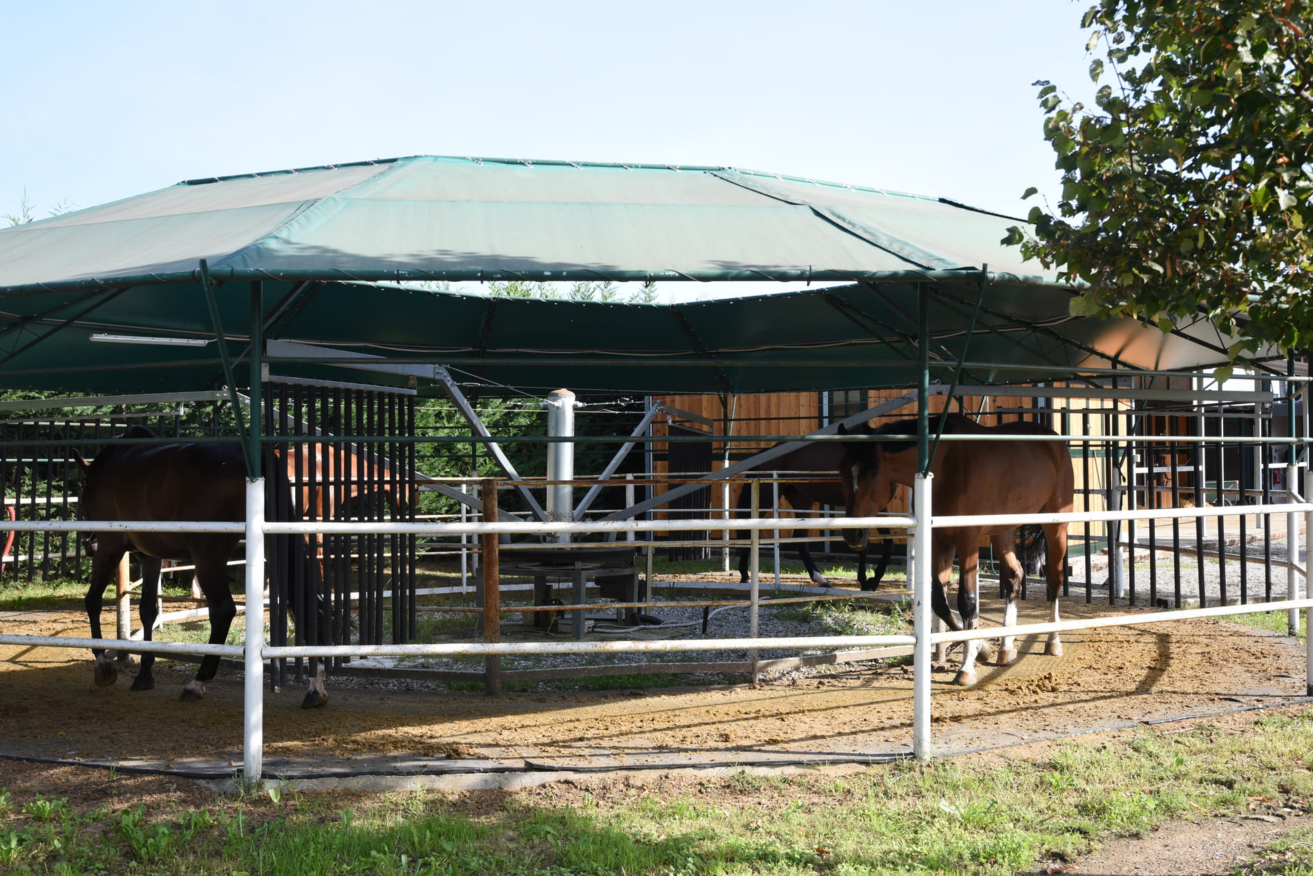 international-horses-struttura-22