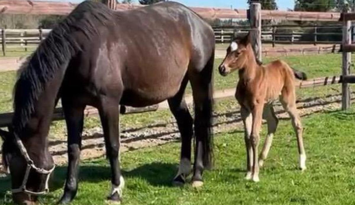 pourtoi-adriana-foto-02