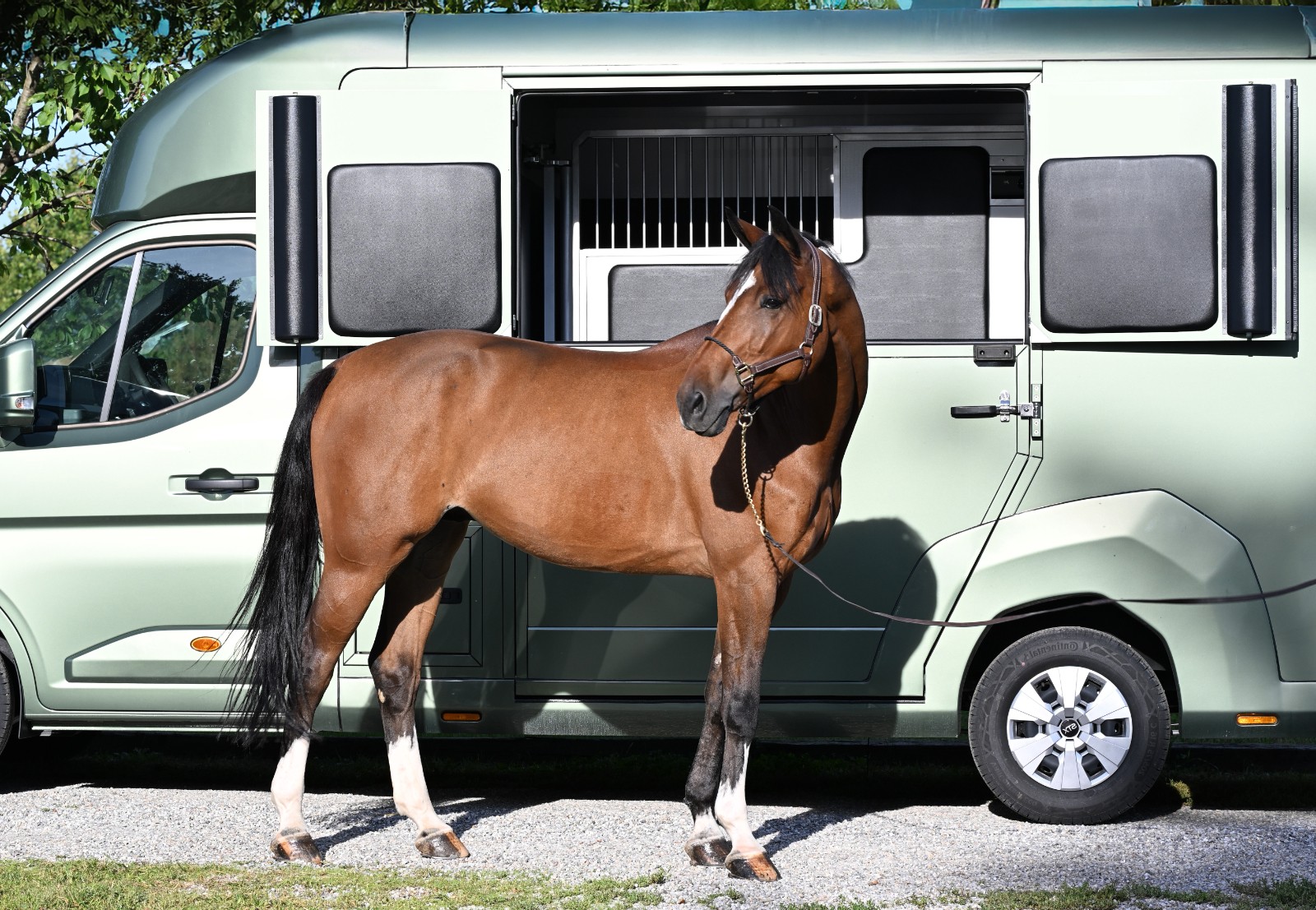 talando-blue-ps-foto-02