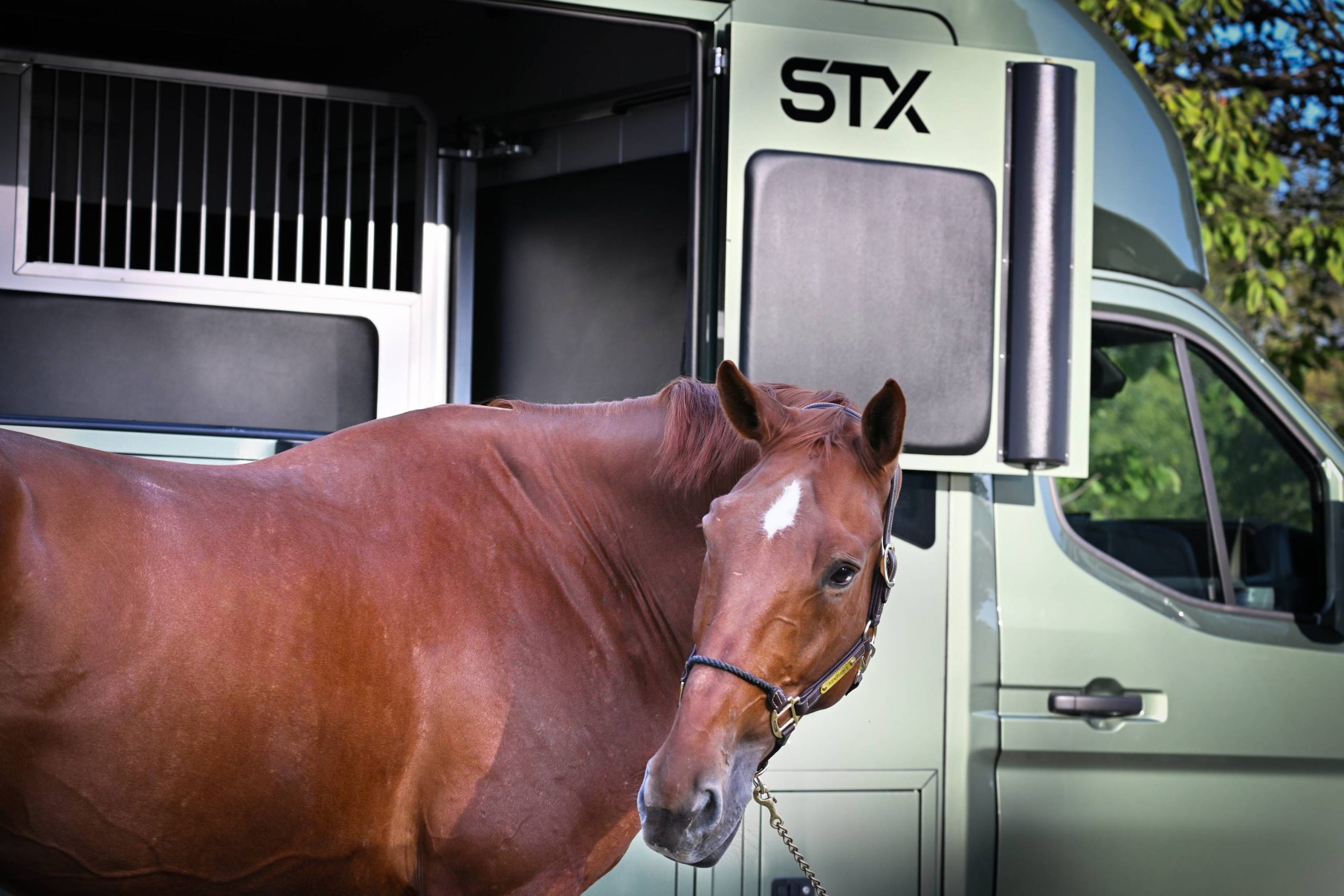 13daa01e-0226-453a-aa8e-18778c03b9e3