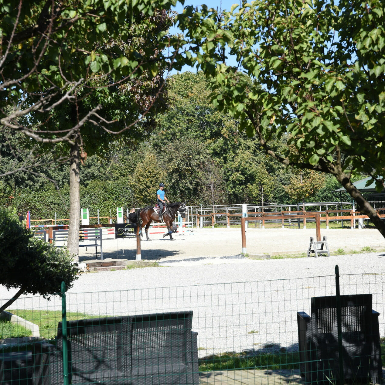 international-horses-struttura-07