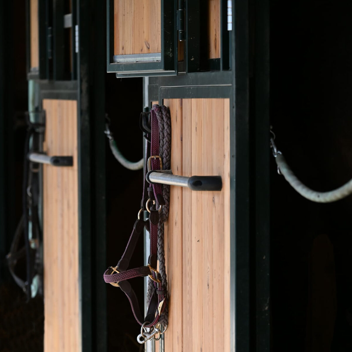 international-horses-struttura-10